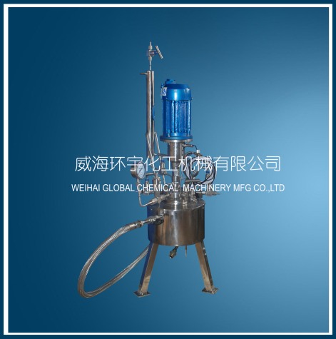 上海GSH-0.2L哈市合金反應(yīng)釜帶冷凝回流裝置