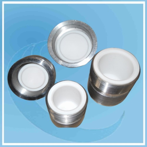 上海Pressure Bomb With PTFE
