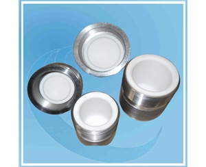 上海Pressure Bomb With PTFE