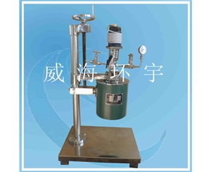 上海0.1L Lift and Flip  Reactor