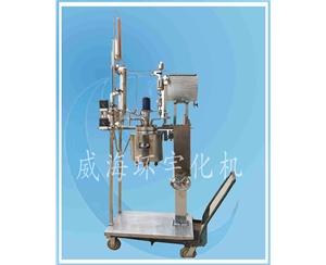 上海2L  Lift and Flip Reactor TA2