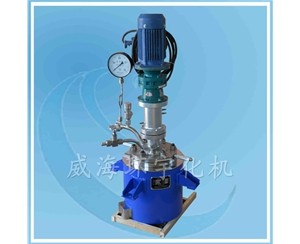 上海3L實驗室反應釜