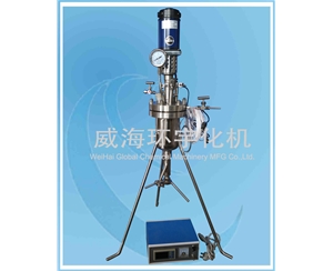 上海1L小型反應釜配快開閥門