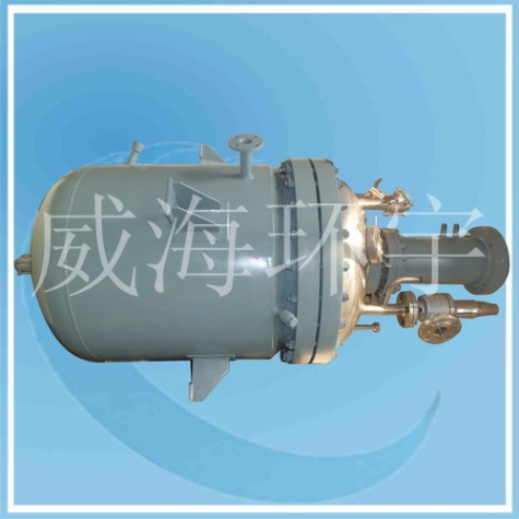 上海500L Hydrogenation Reactor