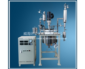 上海2L下出料反應釜