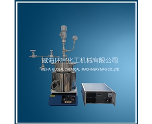 上海1L磁子反應器